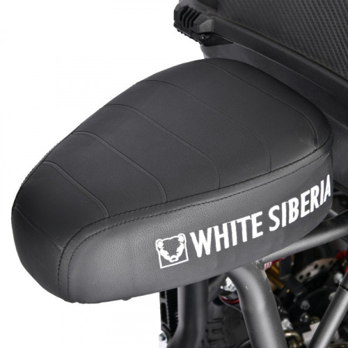 Электроскутер White Siberia TRIKE MINI 1500W в Кемерово