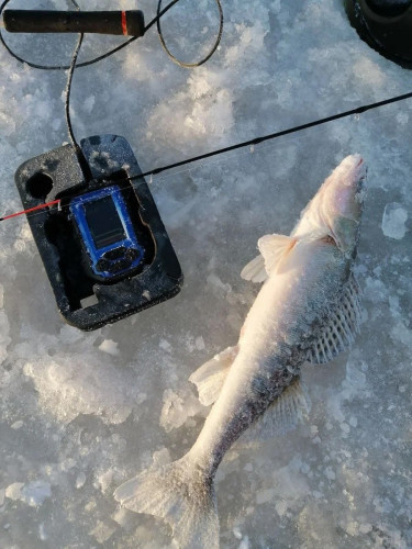 Эхолот Практик 8 в Кемерово