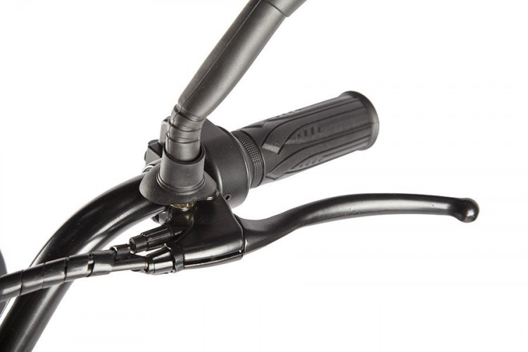 Электровелосипед Eltreco Green City e-ALFA LUX в Кемерово