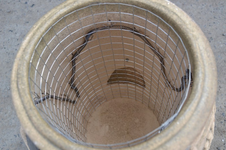 Тандыр Электрический Малый в Кемерово