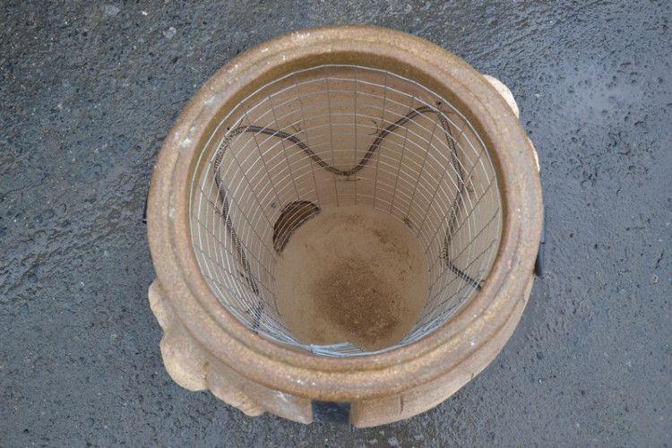 Тандыр Электрический Баран в Кемерово