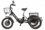 Электрофэтбайк Eltreco Green City e-ALFA Trike в Кемерово