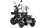 Электротрицикл Wanshida UN MOTO в Кемерово