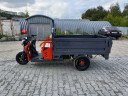 Грузовой электрический трицикл Pаntеrа Гидрaвлика 75V1500W в Кемерово