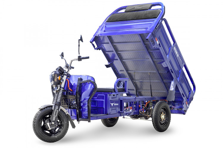 Грузовой электрический трицикл RuTrike D4 1800 60V1200W в Кемерово